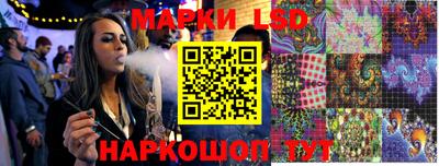 прущие грибы Краснодар