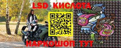 прущие грибы Краснодар