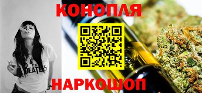 прущие грибы Краснодар