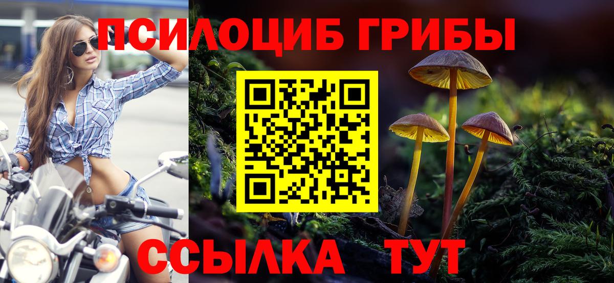 Галлюциногенные грибы мицелий Камышин