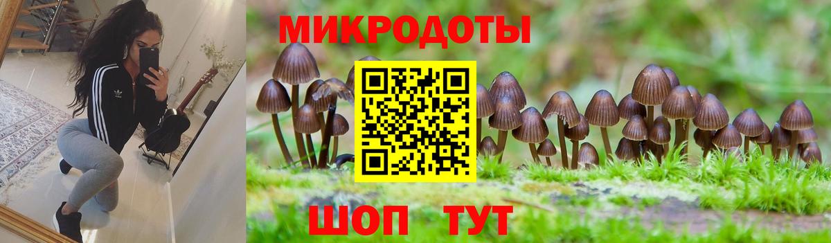 Псилоцибиновые грибы MAGIC MUSHROOMS  сколько стоит  Камышин  Вход с VPN  Галлюциногенные грибы MAGIC MUSHROOMS 